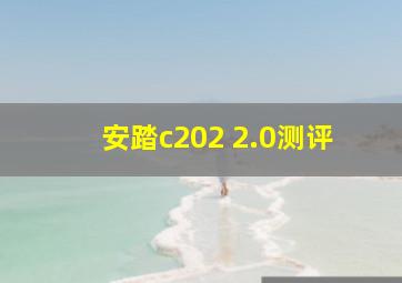 安踏c202 2.0测评